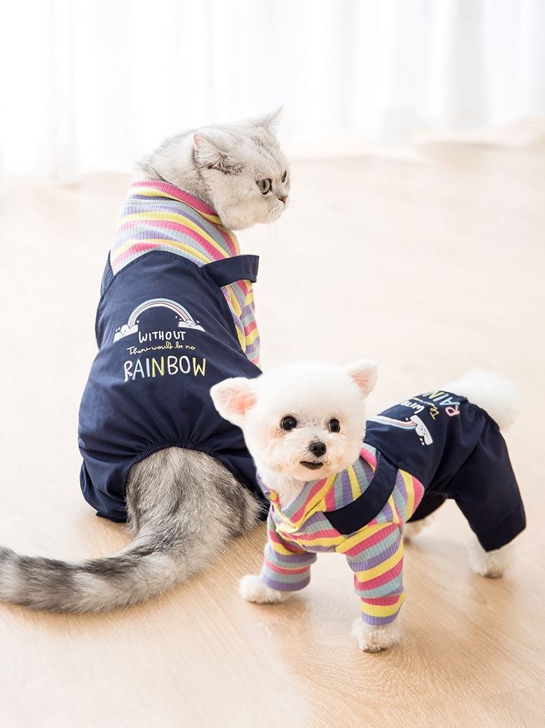 Pet Autumn And Winter Clothes