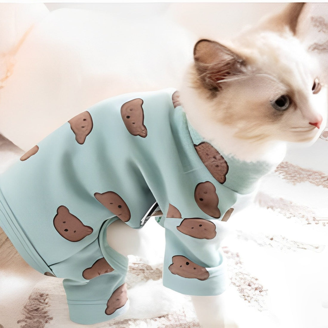 Four-legged Pet Clothes