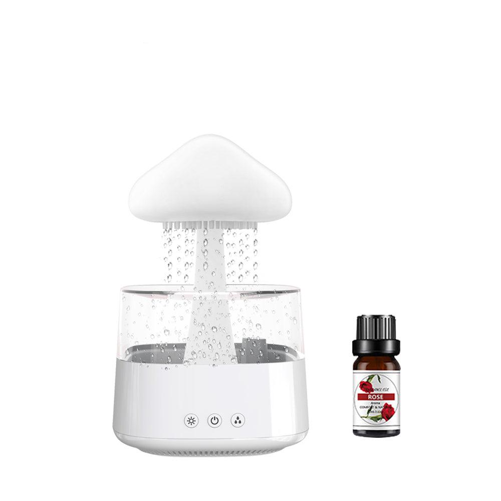 Rain Cloud Humidifier