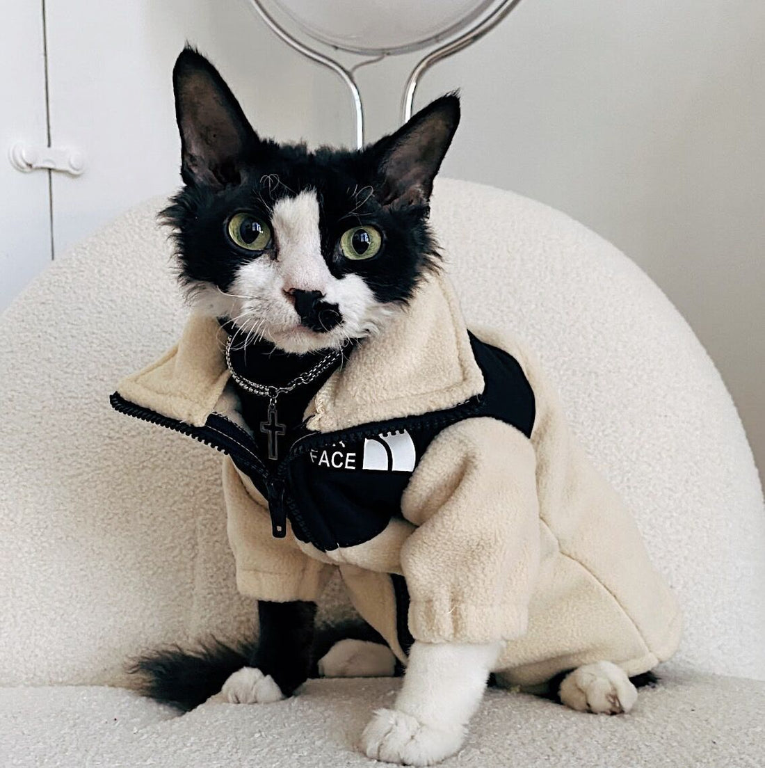 Pet's The Cat Face Jacket